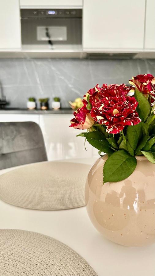 Apartament Elegant 2 แชมิตช์ ภายนอก รูปภาพ
